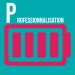 Professionnalisation (niveau 3) Professionnalisation (niveau 3)