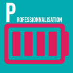 Professionnalisation (niveau 3)