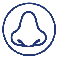 sensorialité_olfactif